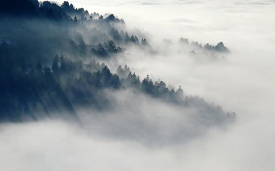 天心区附近的免费景点-天心区求签圣地：神秘寺庙揭秘之旅