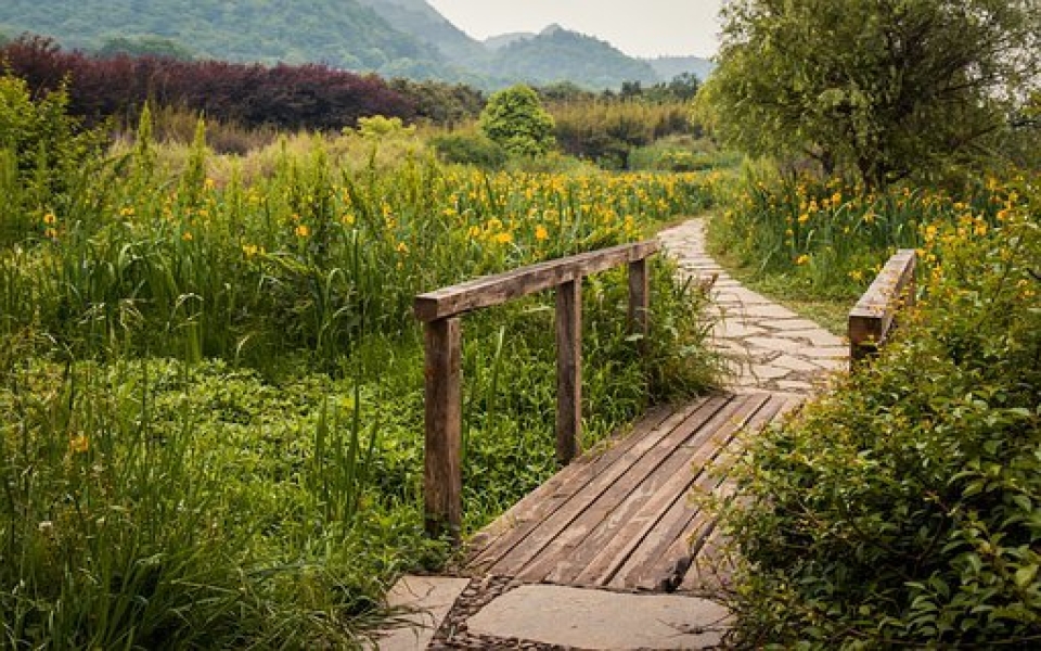 虎年生辰算命-虎年八字命理揭秘：精准算命新方法大揭秘