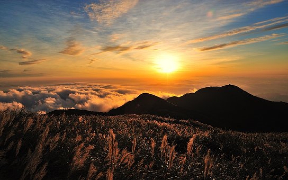 做梦梦见爬深山回家好不好—梦见爬山爬过去了